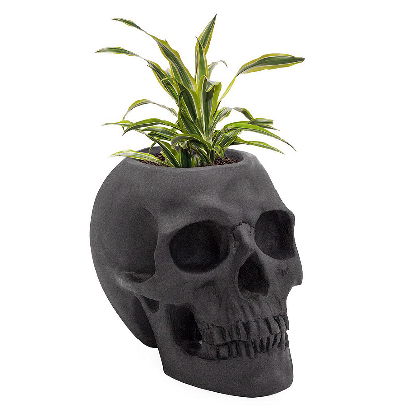 Black Skull Planter Pot, Horror Theme Decorative Mini Planter Image