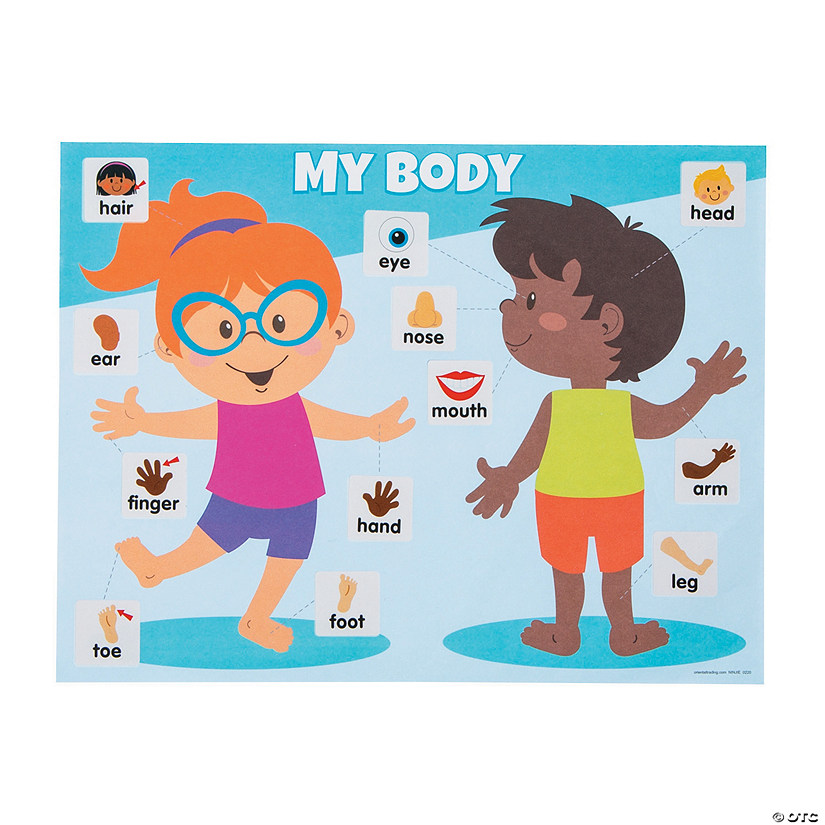 Body Part Label Sticker Scenes - 12 Pc. Image