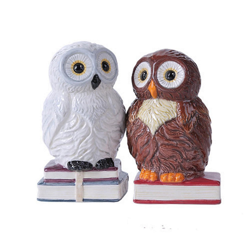 Book Owls Magnetic Ceramic Salt and Pepper Shaker Set Image