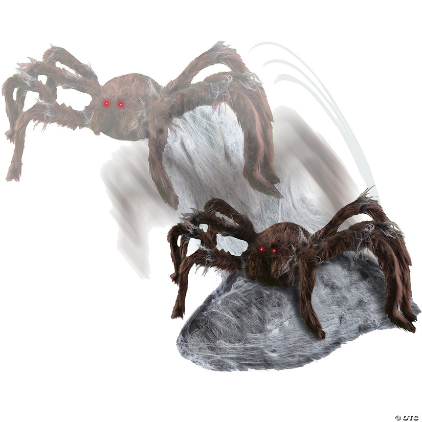 Brown Jumping Spider Decoration Image