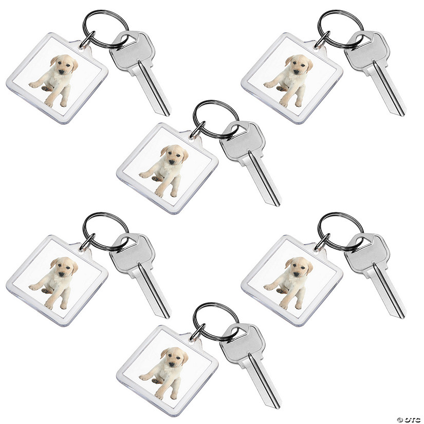 Bulk 48 Pc. Clear Square Keychains Image
