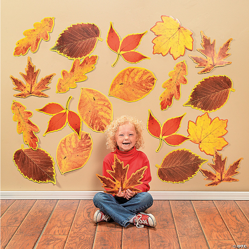 Bulk 48 Pc. Jumbo Fall Leaves Classroom Cutouts Image