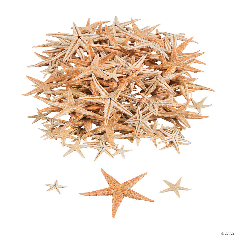 Bulk 500 Pc. Mini Natural Sugar Starfish Image