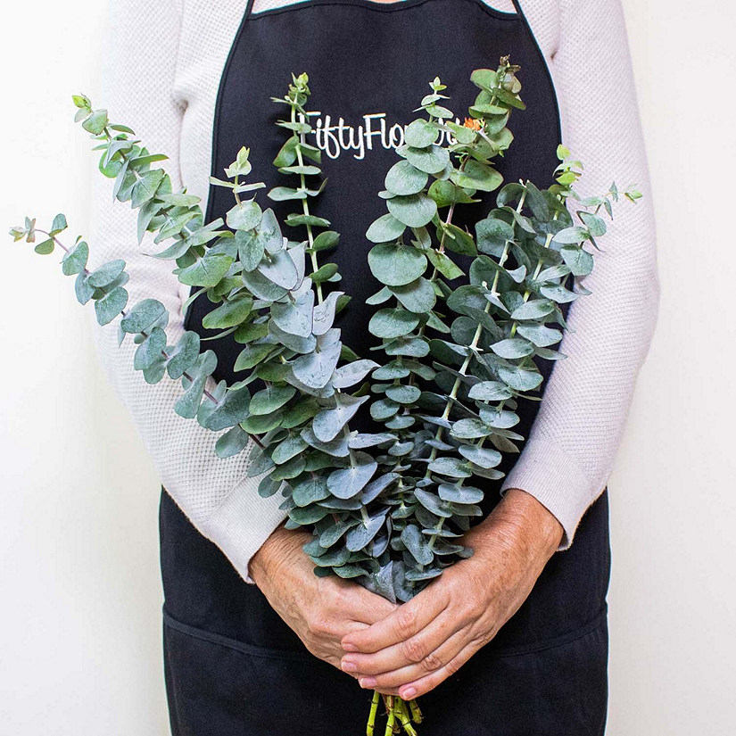 Bulk Flowers Fresh Baby Eucalyptus Greenery Oriental Trading
