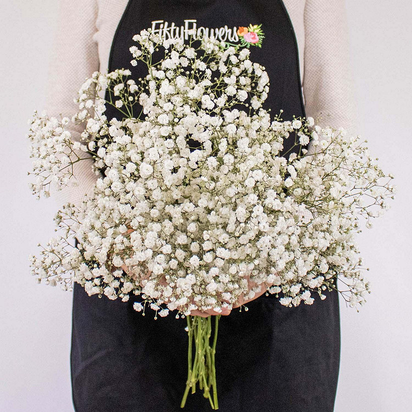 Bulk Flowers Fresh Baby's Breath White Flowers Oriental Trading