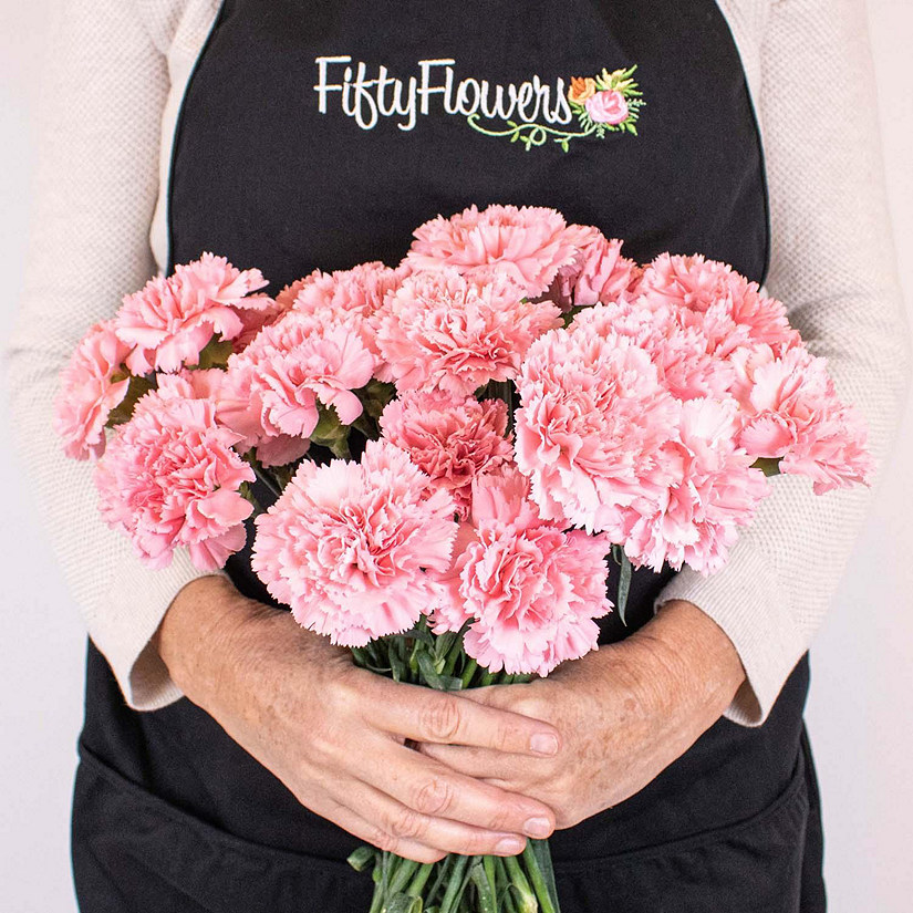Bulk Flowers Fresh Pink Carnations Image