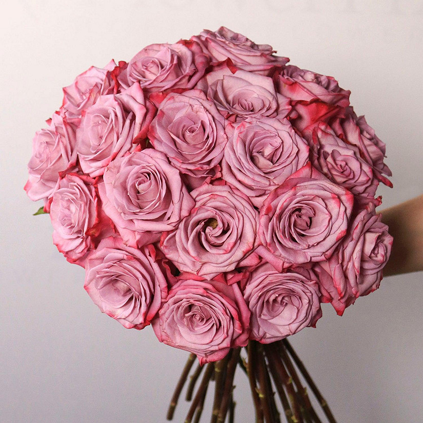 Bulk Flowers Fresh Pinky Purple Roses Oriental Trading
