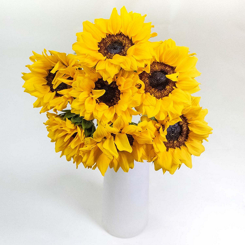 Bulk Flowers Fresh Sunflowers Oriental Trading