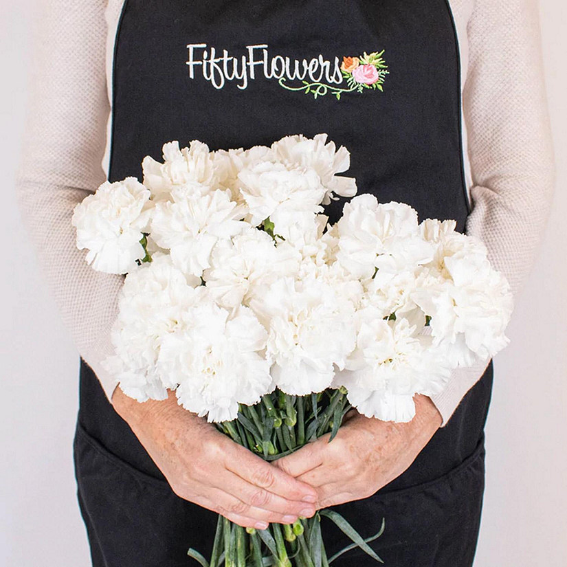 Bulk Flowers Fresh White Carnations Image