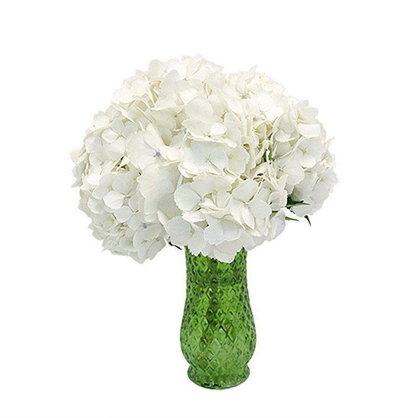 Bulk Flowers Fresh White Hydrangea Oriental Trading