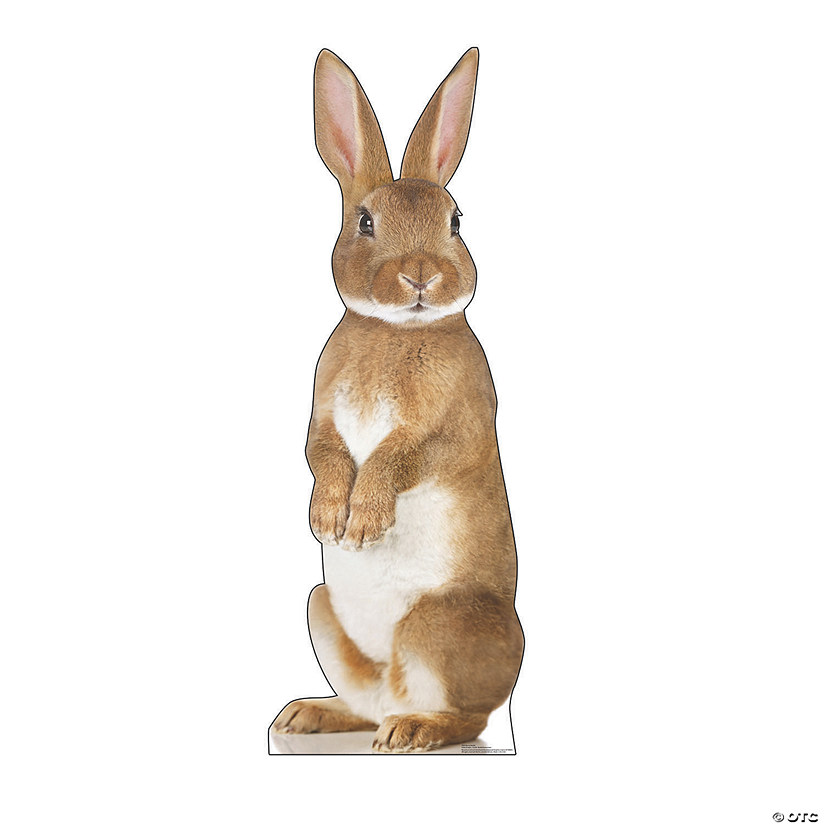 Bunny Rabbit Cardboard StandUp Oriental Trading