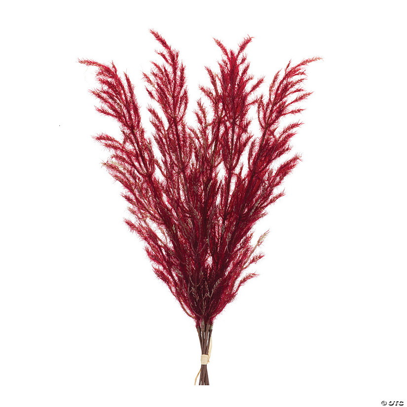 Burgandy Plume Bundle (Set of 6) Image