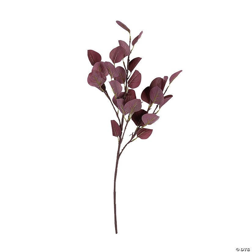 Burgundy Eucalyptus Stems - 2 Pc. Image