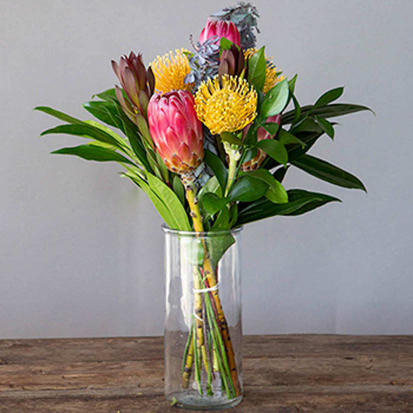 Bursting Sunbeam Protea DIY Fresh Flower Pack Image