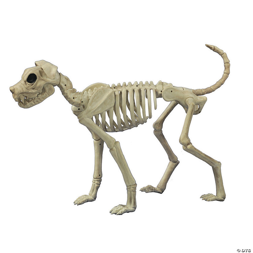 Buster Bonez Dog Skeleton Halloween Decoration Oriental Trading