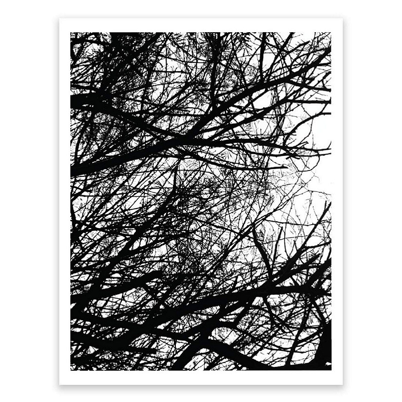 BW Winter Tree Branches Photo 8.5x11 Image