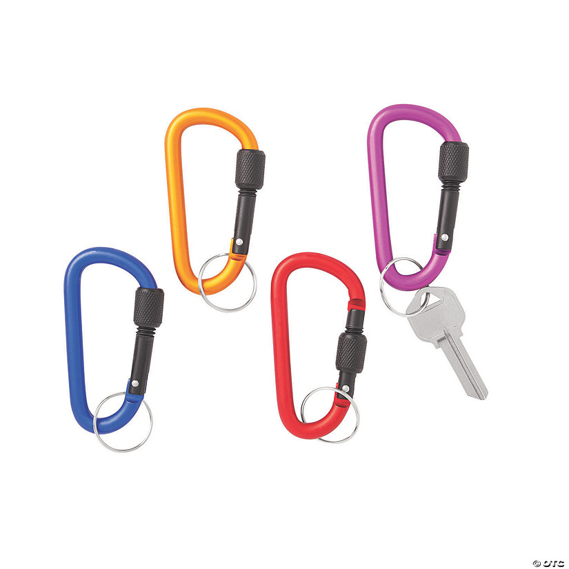 Carabiner Keychains Image
