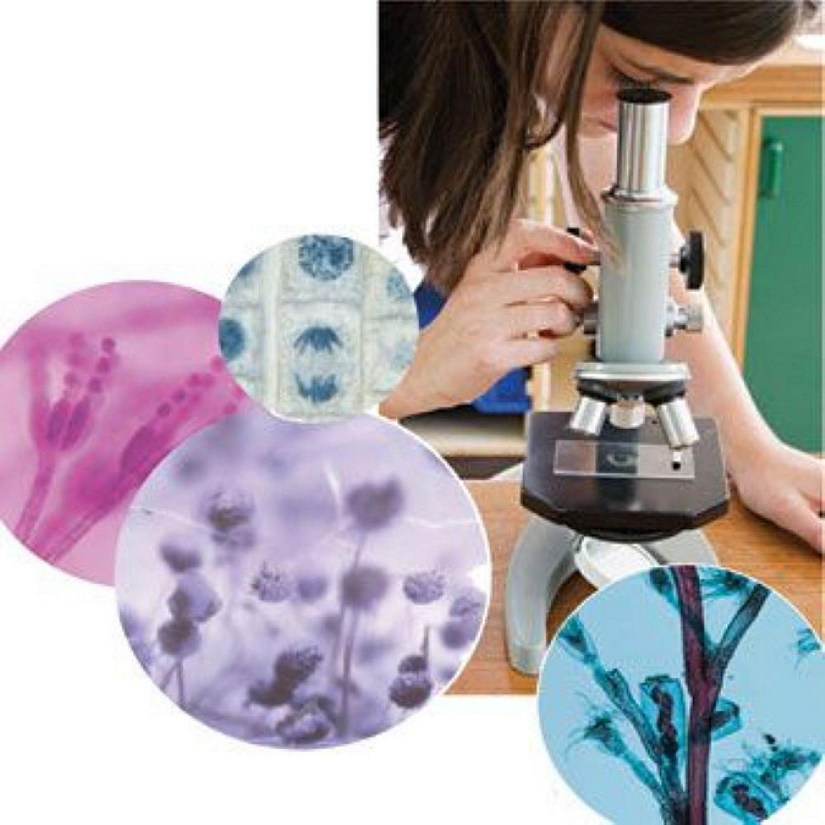 Carolina Biological Supply Company Beginner's Biology Microscope Slide