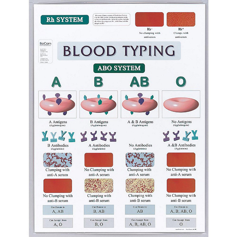 Carolina Biological Supply Company Blood Typing Chart Image
