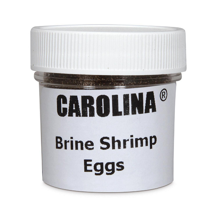 Carolina Biological Supply Company Brine Shrimp (Artemia) Eggs, 1 oz Image