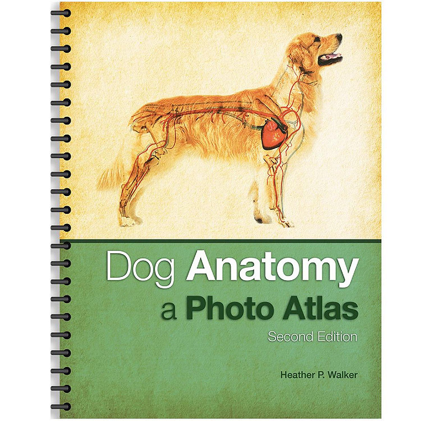 Carolina Biological Supply Company Dog Anatomy: A Photo Atlas Image