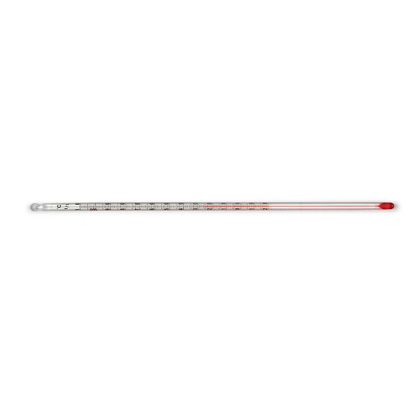 Carolina Biological Supply Company Red Spirit-Filled Partial Immersion 12" Thermometer (-20 to 110 C) Image