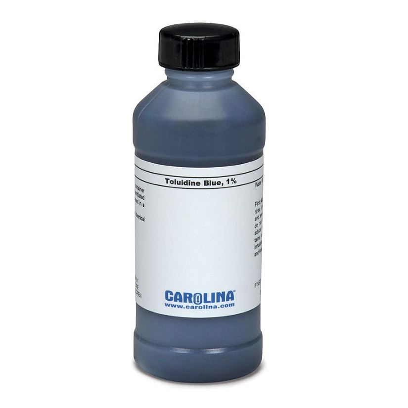 Carolina Biological Supply Company Toluidine Blue O, 1% Aqueous, Laboratory Grade, 100 mL Image