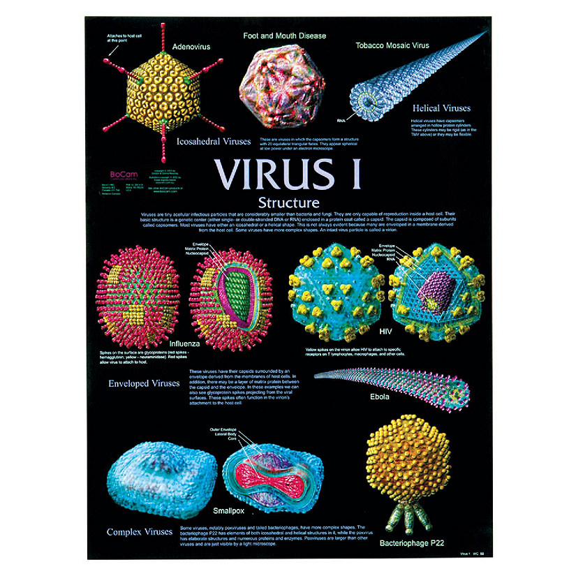 Carolina Biological Supply Company Virus I Poster Image