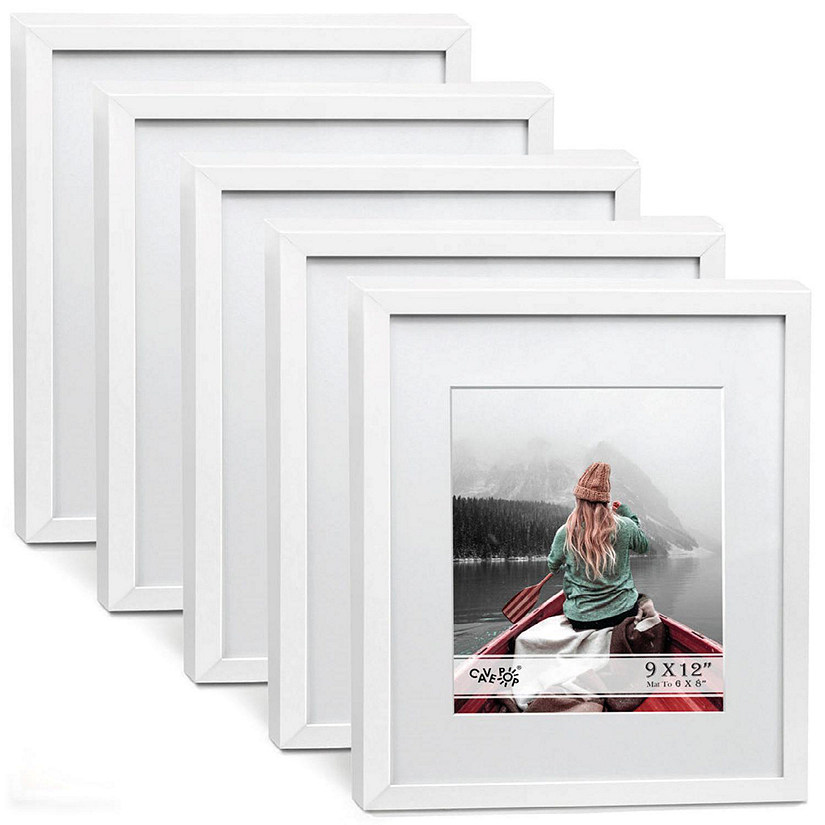 Cavepop 9x12 White Acrylic Picture Frame with 6x8 Set of 5 Oriental
