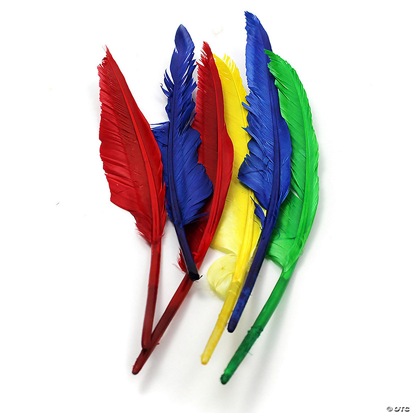 Charles Leonard Quill Feathers, 10" & 12", 6 Per Pack, 12 Packs Image