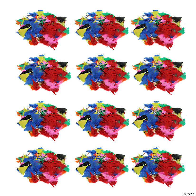 Charles Leonard Turkey Feathers, Bright Colors, 14 Grams Per Pack, 12 Packs Image