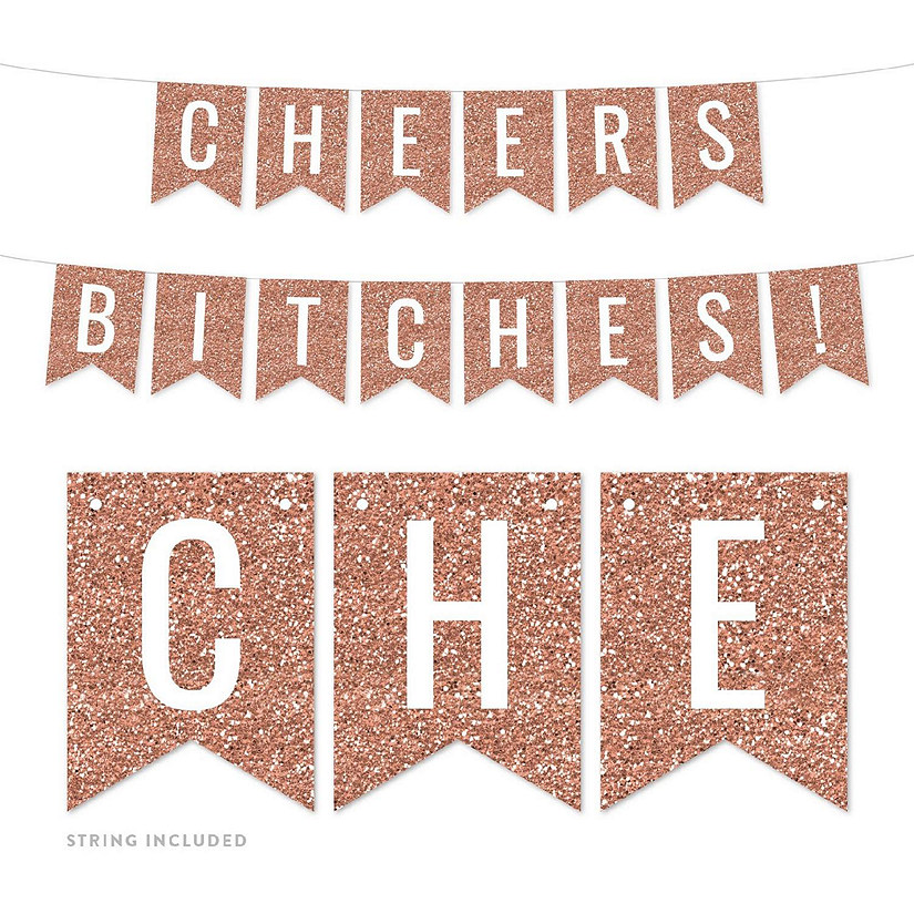 Cheers Bitches 4x5.5IN Banner Image