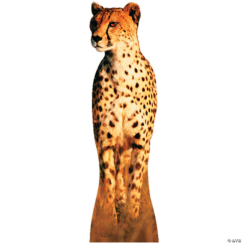 Cheetah Cardboard Stand-Up Image