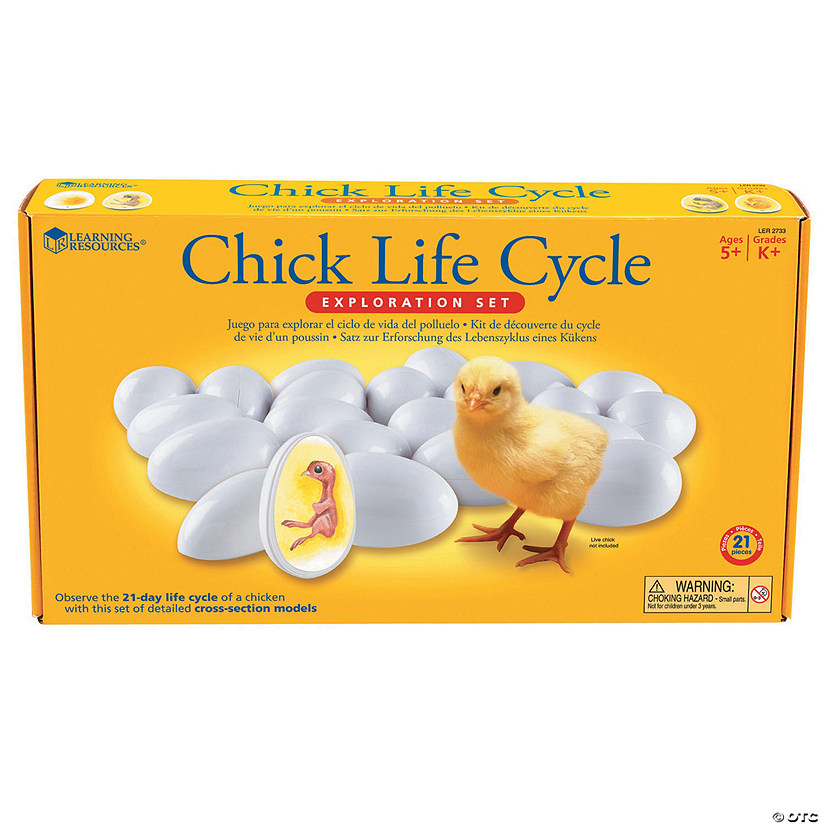 Chick Life Cycle Exploration Set - 21 Pc. Image