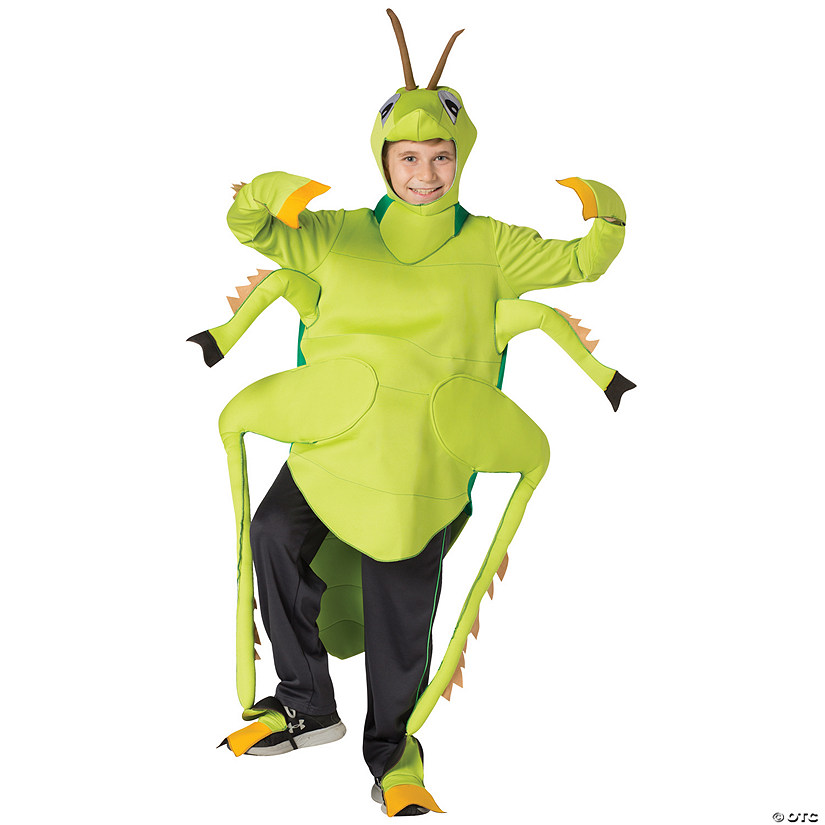 Child's Grasshopper Costume Image