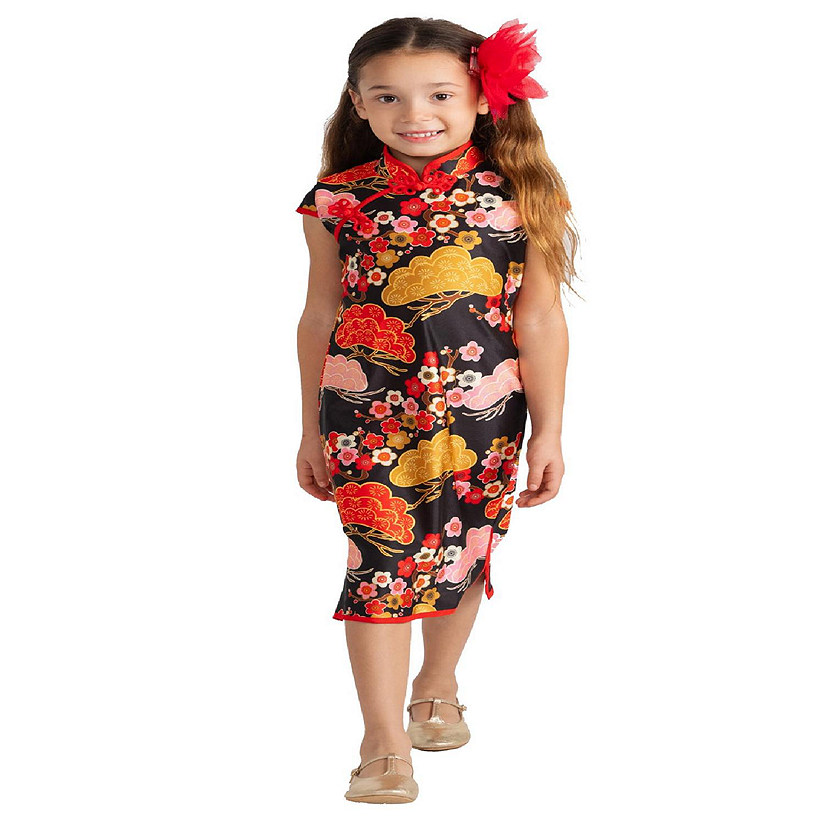 Chinese Girl Costume Set - Kids Size T2 Image