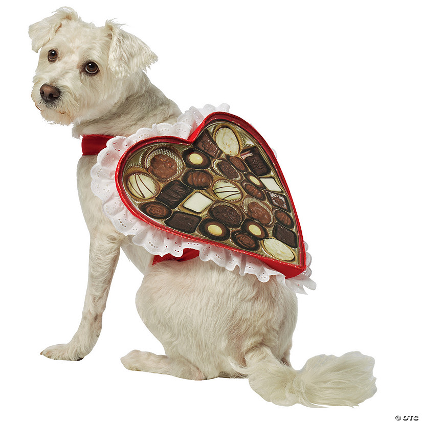 Chocolate Candy Box Dog Costume Image