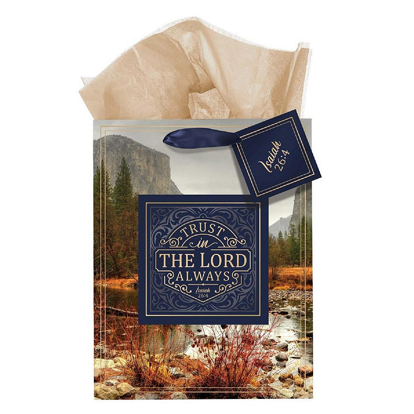 Christian Art Gifts 264072 Medium Rejoice in the Lord Phil. 4-4 Gift Bag Image