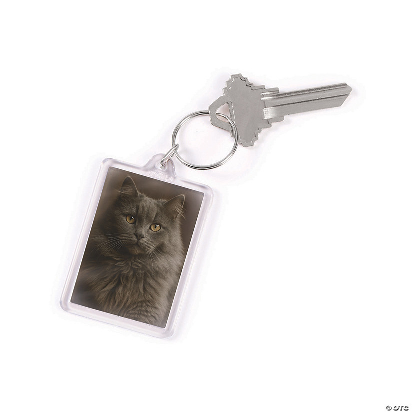 Clear Keychains Oriental Trading