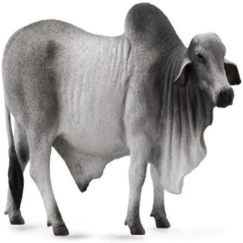 CollectA Farm Life Collection Miniature Figure Brahman Bull