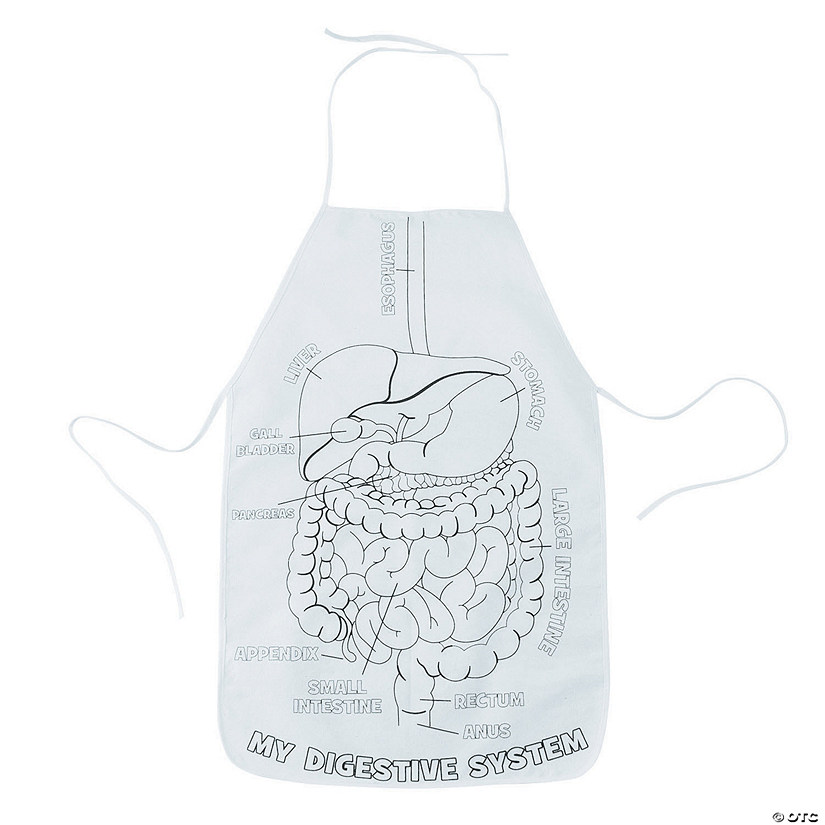 Color Your Own Digestive System Canvas Aprons - 12 Pc. Image