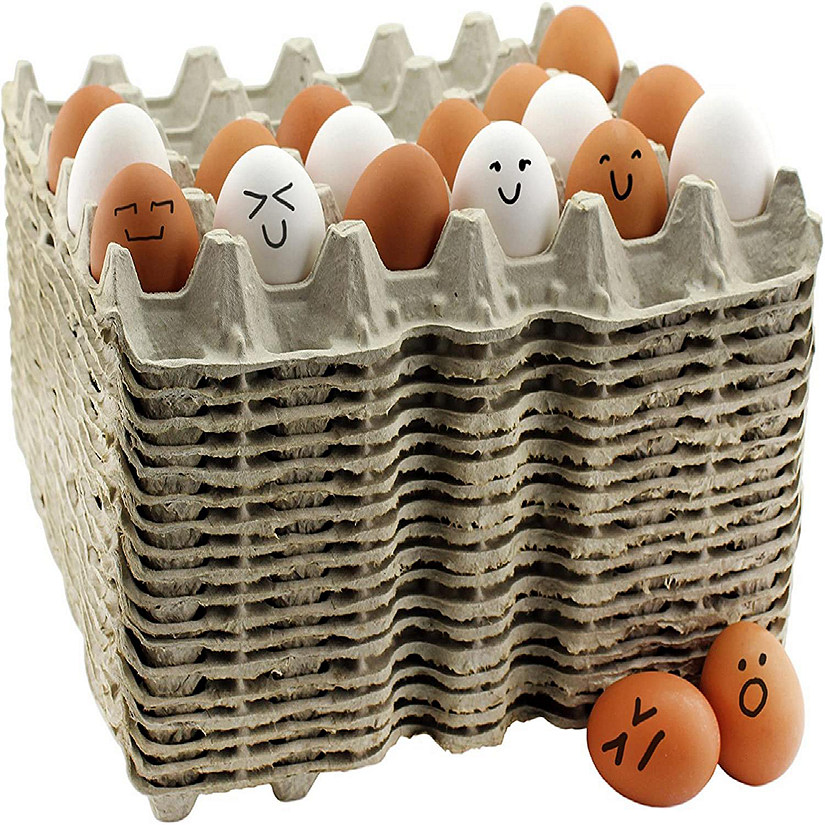 Blank 12-Egg Flat top Style Paper-Pulp Compostable Egg Carton