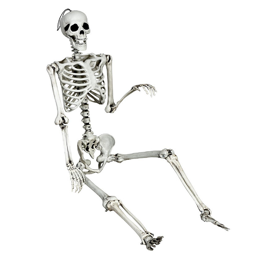 Costway 5.4ft Halloween Skeleton Life Size Realistic Full Body Hanging w/ Movable Joints Image