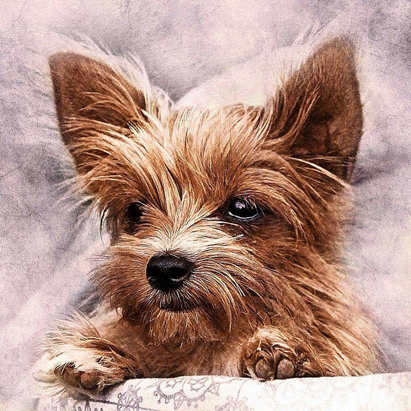 Crafting Spark (Wizardi) - Fluffy Friend CS2307 15.8 x 15.8 inches Crafting Spark Diamond Painting Kit Image