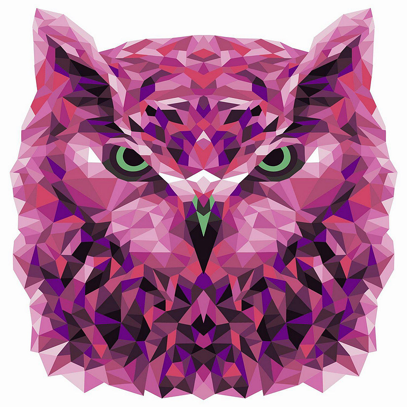 Crafting Spark (Wizardi) - Painting by Numbers kit Crafting Spark Celebration Poly Owl P002 19.69 x 15.75 in Image