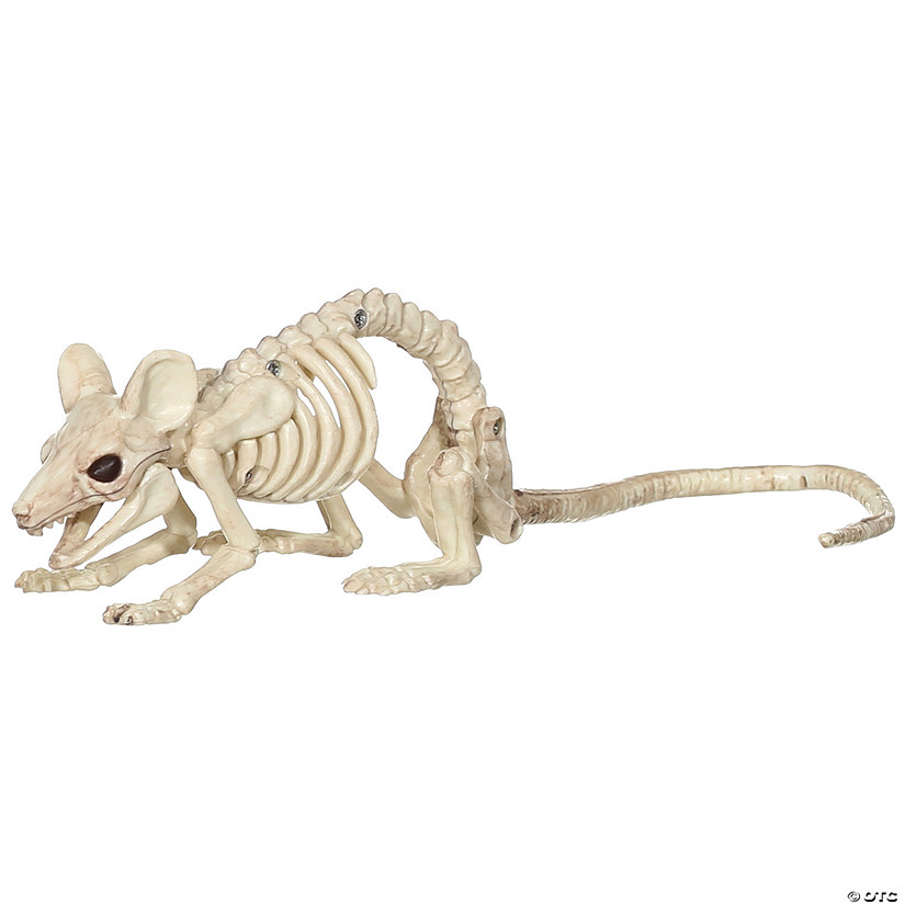 Creepy Crawling Mouse Image
