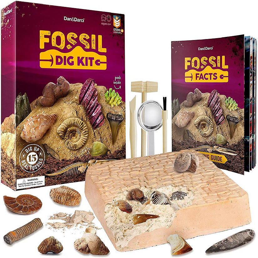 Dan&Darci - Mega Fossil Dig Kit - Dig Up 15 Real Fossils and Dinosaur Bones  | Oriental Trading