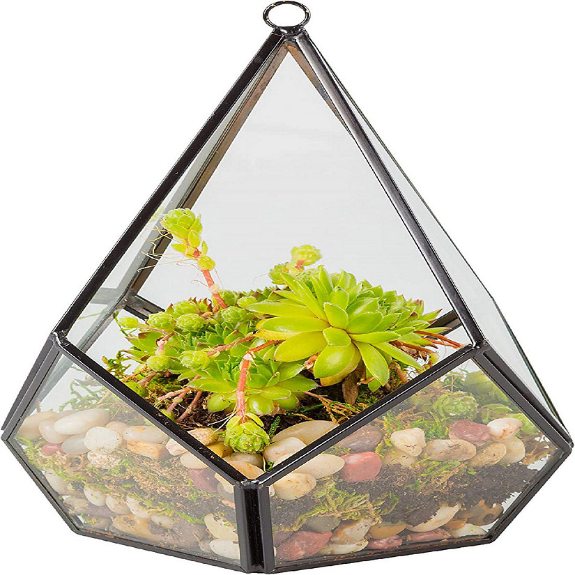 Deco Glass Geometric DIY Terrarium for Succulent & Air Plant - Hanging Teardrop Shape for Indoor Gardening Decor- Create Your own Flower, Fern, Moss Centerpiece Image