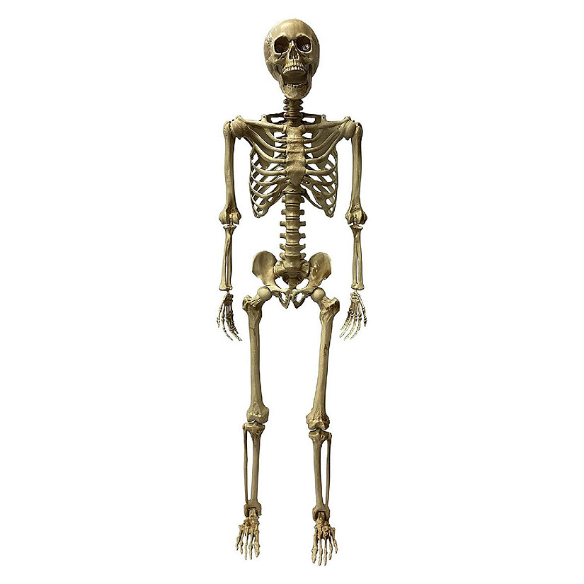 Deluxe 5 Foot Poseable Skeleton Halloween Decoration Image