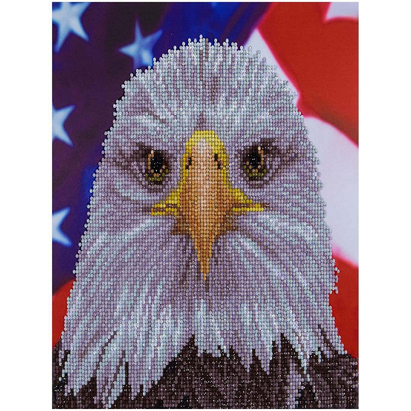 Diamond Art Intermediate Kit - Bald Eagle